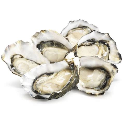 Woolworths Fresh Pacific Oysters Dozen | ubicaciondepersonas.cdmx.gob.mx