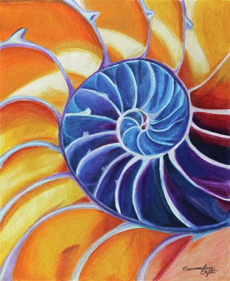 Seashell Spiral Drawing by Emmalene Oysti - Fine Art America