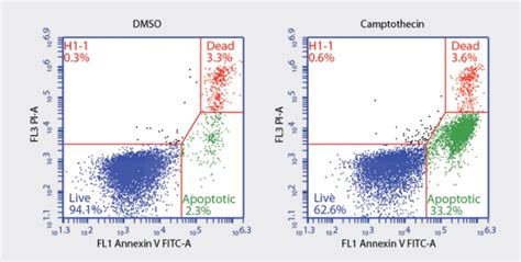 BD Biosciences 세포사멸(Apoptosis) 분석 - 서린바이오사이언스