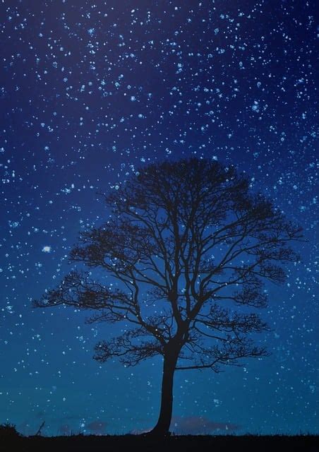 Night Tree Sky Blue · Free image on Pixabay