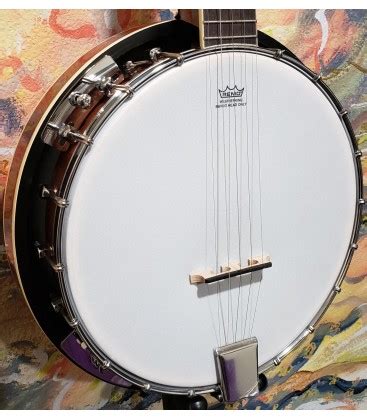 Morgan Monroe RT-B18 Banjo with Resonator | Free case | Free Book