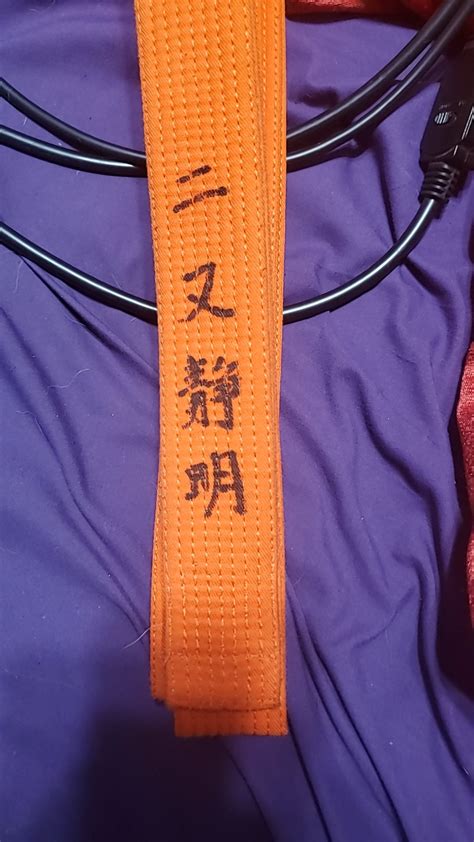 A 10th degree black belt signed my belt!!! : r/karate