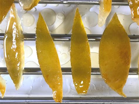 Candied Citron Peel Recipe — SOPHIE IN PUGLIA