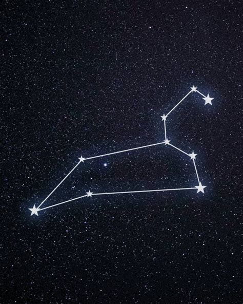 Leo Star Constellation