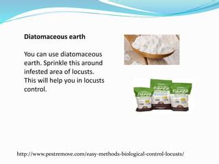 Easy methods for biological control of locusts | PPT