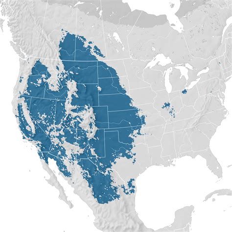 Prairie Falcon - Range map: Non-breeding - eBird Status and Trends