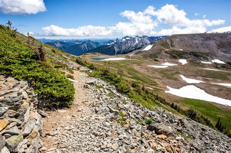 Hiking the Mount Fremont Lookout Trail | Mount Rainier National Park - Earth Trekkers