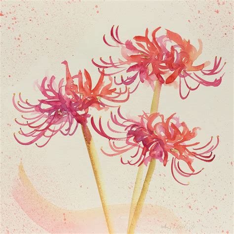 Red spider lily | Lilies drawing, Red spider lily, Flower drawing