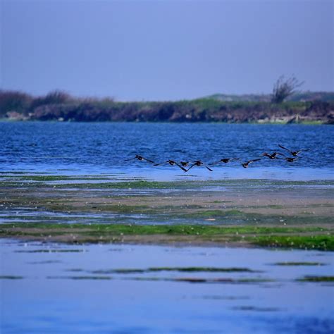 SALINAS RIVER NATIONAL WILDLIFE REFUGE - All You Need to Know BEFORE You Go