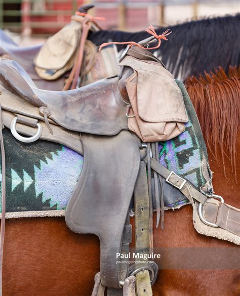 Stock photo - Western saddle - Paul Maguire