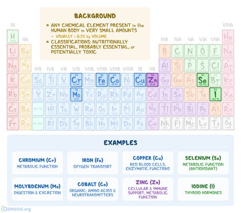 Trace Elements: What Are They, Nutrition, and More | Osmosis