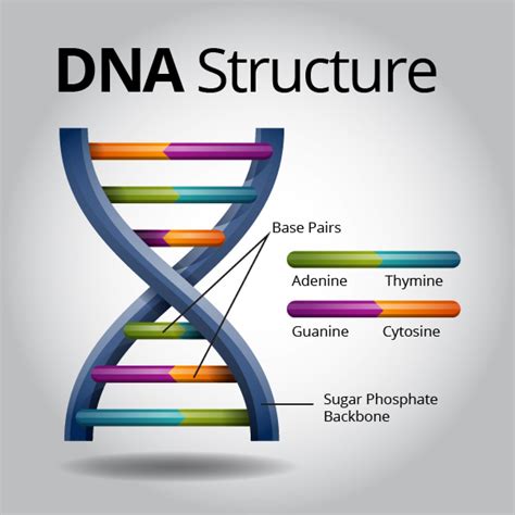 Vivos Global Genome Vault