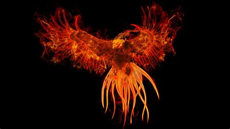 Phoenix Bird Wallpapers - Wallpaper Cave