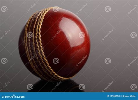 Cricket ball. stock photo. Image of ball, seam, leather - 10185550