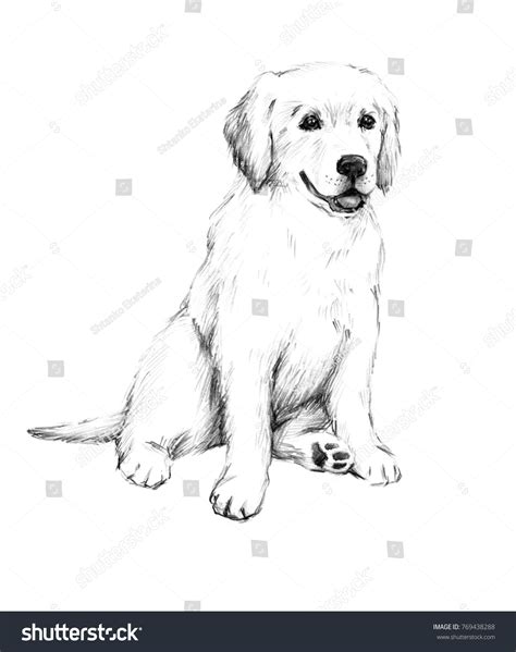 Animal Sketch Pencil Drawing Dog Cute Stock Illustration 769438288 | Shutterstock