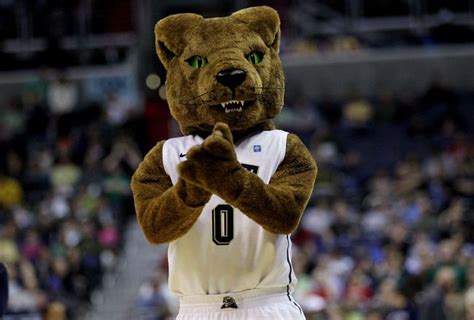 Ranking the 20 Best Mascots in College Basketball | Mascot, Pitt ...