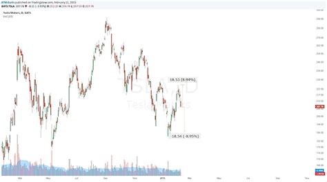 Tesla Earnings (TSLA) Preview: Tensions Running High - See It Market