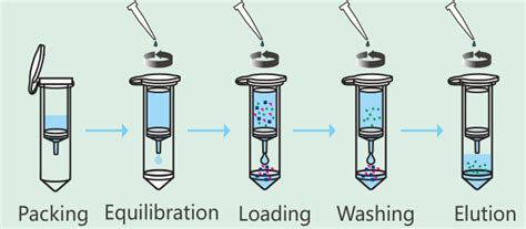 Empty Columns for Protein Purification – Biocomma Official Blog