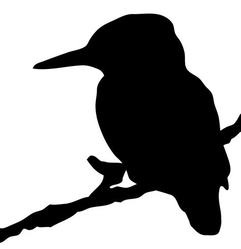 Kingfisher Bird Silhouette Clipart Free Stock Photo - Public Domain ...