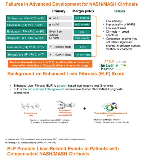 Aldafermin Meets 48-Week Primary and Secondary Endpoints for MASH Cirrhosis