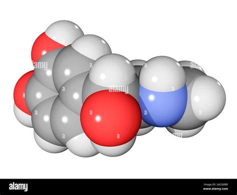 Adrenaline hormone molecule. Molecular model showing the structure of ...