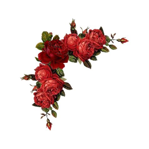 Red Roses Border PNG HD | PNG Mart