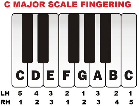 c major piano scale chart with fingerings Major scales piano fingerings