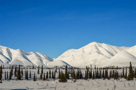 Yes, You Should Visit Fairbanks in Winter to See the Northern Lights in ...