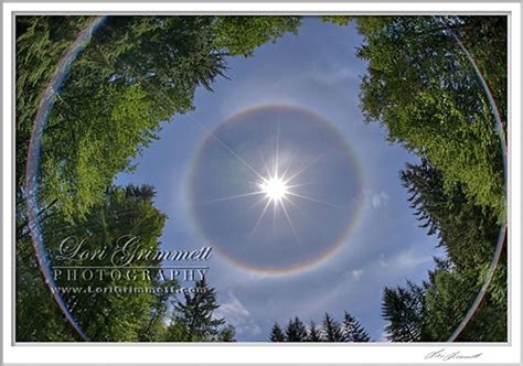 Solar Halo | Lori Grimmett