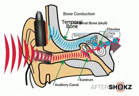 What is bone conduction? - Bone conduction