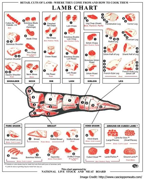 Lamb Meat Cuts Chart