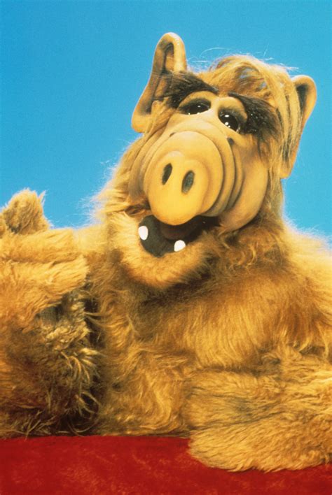 'ALF' Cast: Where Are They Now? See What the Stars Are Up To!