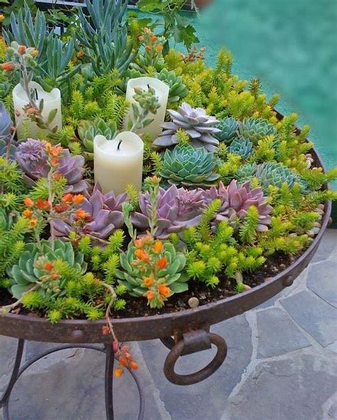 Creative Indoor And Outdoor Succulent Garden Ideas 2017