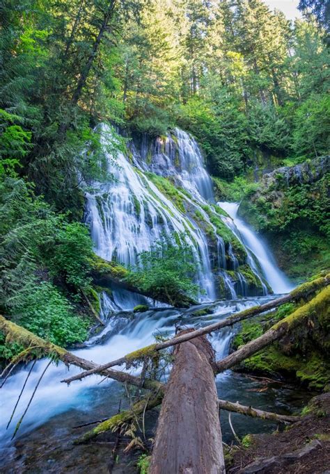 Sunrise at panther creek falls. | National parks trip, Travel ...