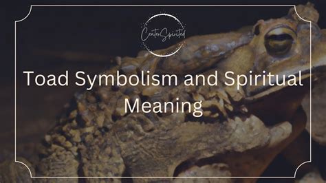 Toad Symbolism and Spiritual Meaning