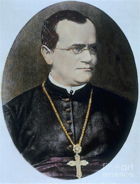 Gregor Mendel, Father Of Genetics Photograph by Science Source - Fine Art America