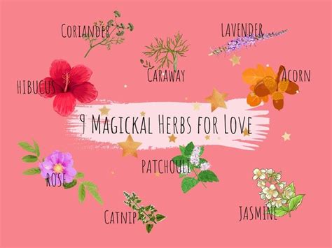 Here we present you with an easy guide to 9 magical herbs for love. Included are the magickal ...