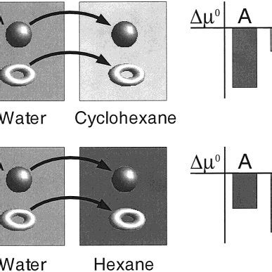 (PDF) A View of the Hydrophobic Effect