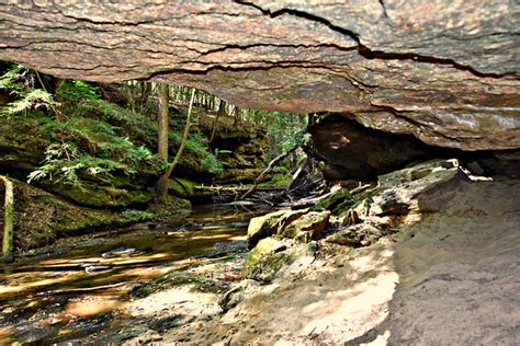 Hiking and Waterfalls in Bankhead National Forest Alabama - Nature Travelers