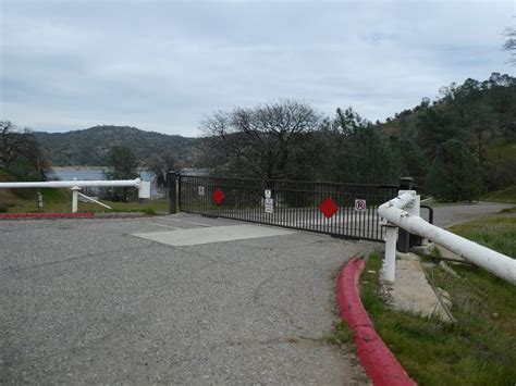 Hiking From Sky Harbor Along Millerton Lake With The Cows | Sierra News ...