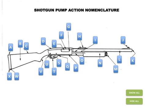 Pump Shotgun Parts Diagram