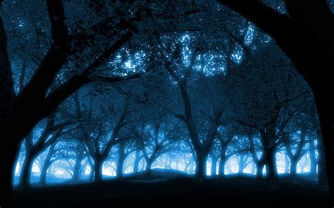 Free download | HD wallpaper: black blue blue forest Nature Forests HD Art, dark, sky ...