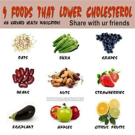 Vegetarian Cholesterol Lowering Recipes - Vegetarian Diet 7 Day Meal Plan To Lower Your ...