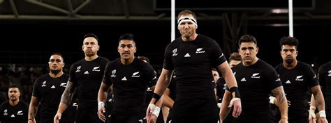 Reasons to make success of the national New Zealand rugby team ...