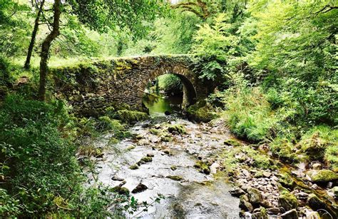 Glengarriff Nature Reserve - Bay View Bed and Breakfast