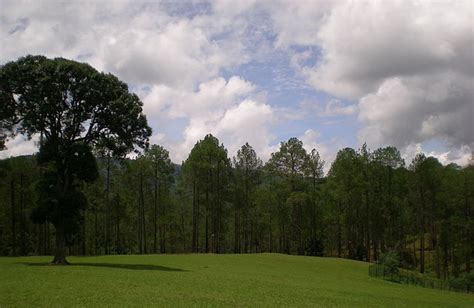 Ranikhet, India Photos