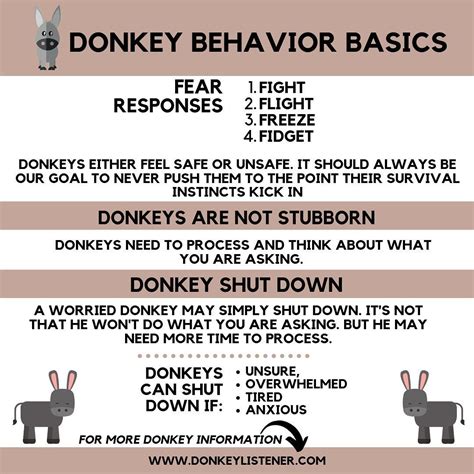 Donkey Listener on Instagram: “Donkey behavior is a complex subject ...