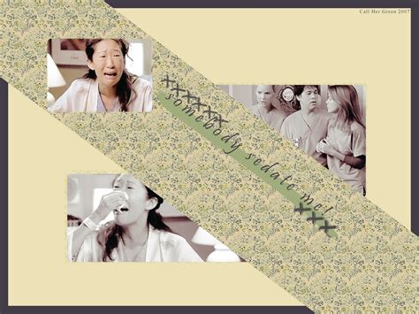 Christina Yang - Dr. Cristina Yang Wallpaper (1604230) - Fanpop