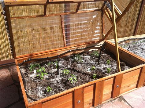 A Raised Bed Garden with Cold Frame and Drip Irrigation - Cold Climate