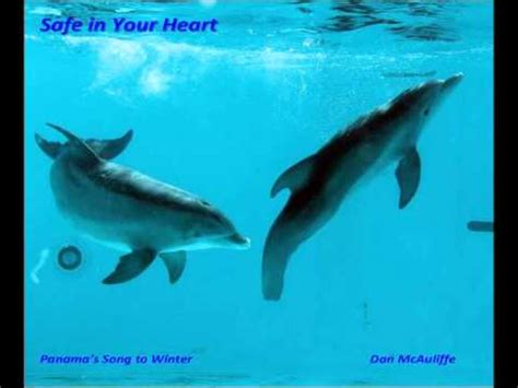 Winter - Dolphin Tale Photo (25515452) - Fanpop